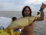 CARPA EN BERISSO PESCADA POR  ADRIAN 