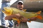 JORGE CON UN EXCELENTE DORADO CAPTURADOEN CONCORDIA