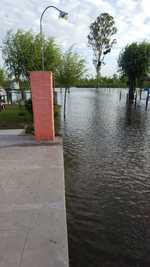 CLUB DE PESCADORES MALVINAS ARGENTINAS EN IBICUY