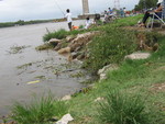 COSTANERA ZARATE